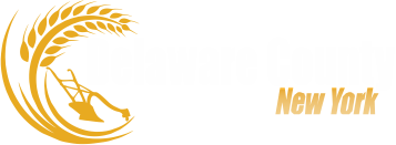 aDPWCopy