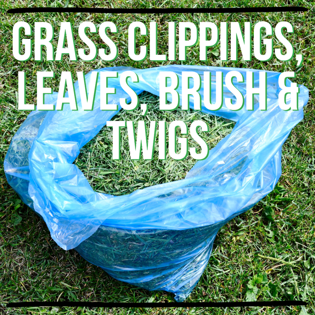 Grass clippings leaves brush and twigs Grass clippings in a blue bag.